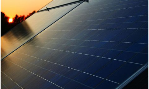 Banco Mundial evalúa financiar parte de expansión de planta fotovoltaica ubicada al interior de Iquique