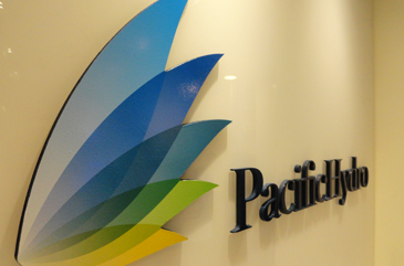 Pacific Hydro invertirá más de US$1.000 millones en Chile