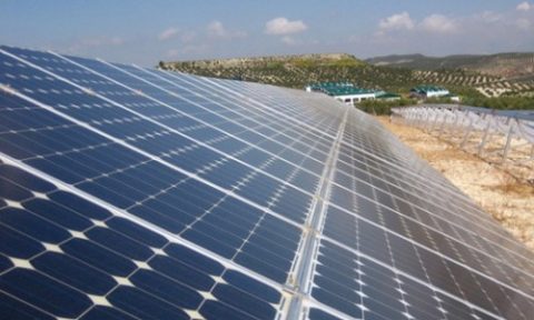 Minera Andacollo cuenta con parque Solar