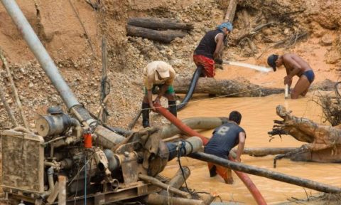 Continúa lucha en contra minería ilegal en Perú