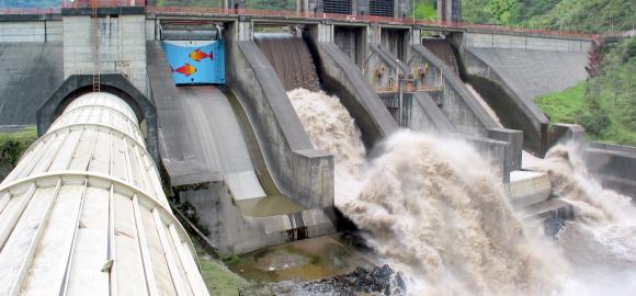 Gobierno aprueba hidroeléctrica de 210 MW en la Región de Los Lagos