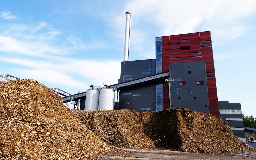 Biomasa - energía